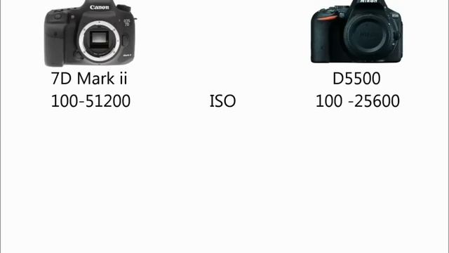 Canon 7D Mark Ii Vs Nikon D5500