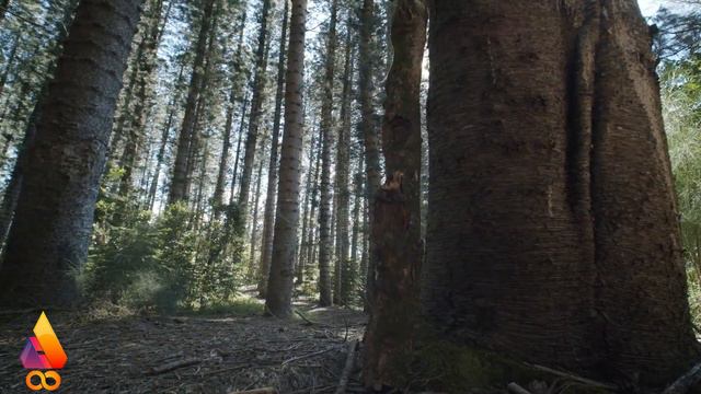Adrián Berenguer Premiere NCS Music Video смотреть онлайн