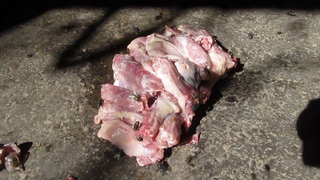 мясо и мухи Meat And Flies