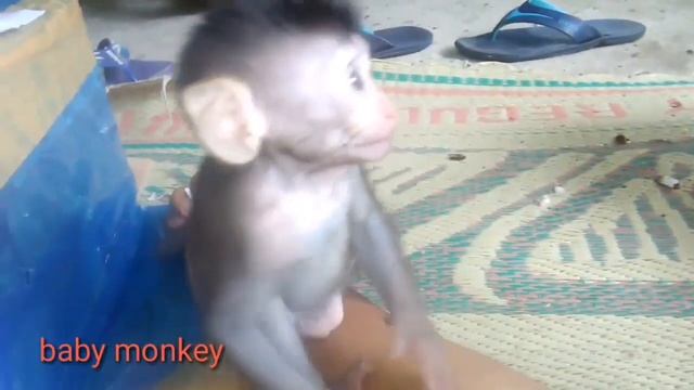 eating Fruit :... a very cute and adorable.. смотреть онлайн