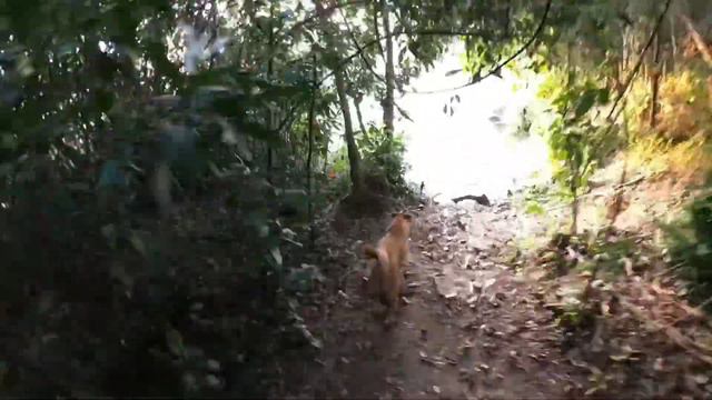 Уганда. Кемпинг. 6. Выход на каталку. смотреть онлайн