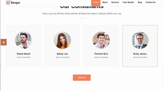 Bangui - Business Consulting and Professional Services HTML | Themeforest Download смотреть онлайн