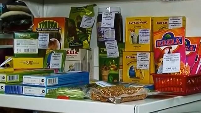 В Самаре проходит специализированная выставка зооиндустрии «Уши. Лапы. Хвост» смотреть онлайн