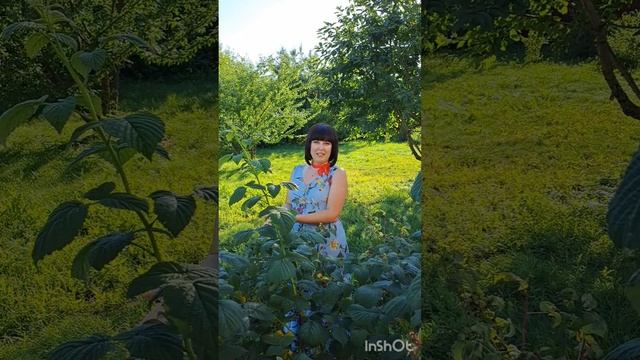 20 лет спустя.mp4 смотреть онлайн