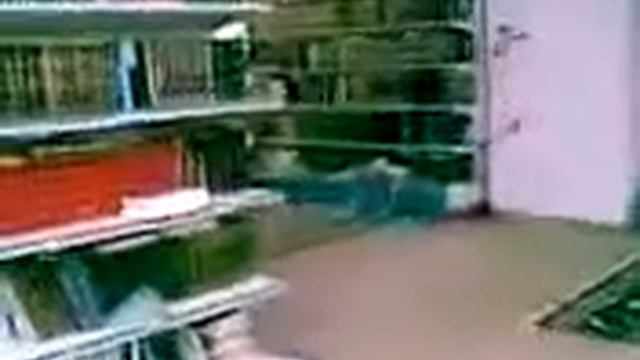 Библиотека Шейха Раби аль Мадхали смотреть онлайн