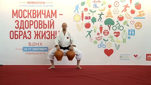 Николай Коровин и Кожевников Максим. БудоФест 2015. смотреть онлайн