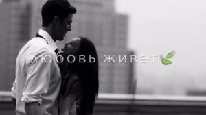 песня разве ты не знаешь как люблю тебя я