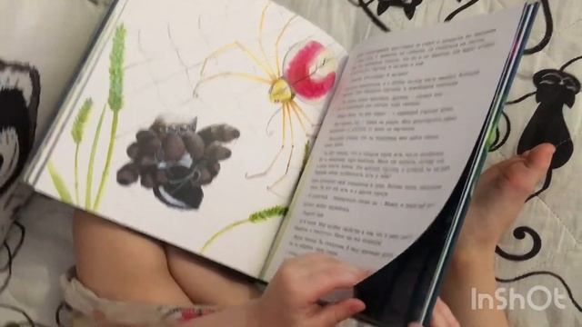 Ребёнок рассказывает о книге про паучка "Ой! Кто такой?", изд. ЭНАС-КНИГА смотреть онлайн