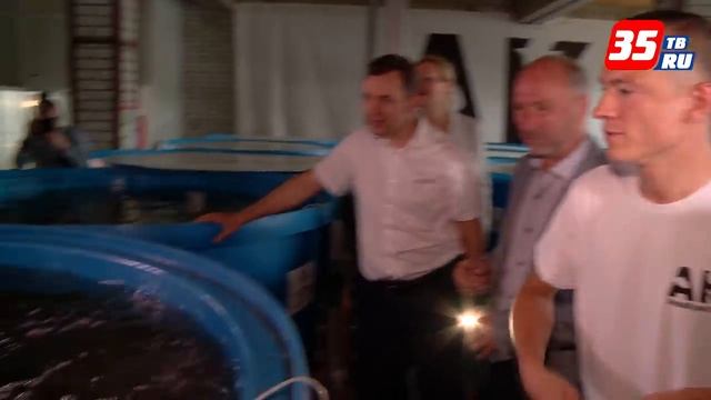 Ферма по выращиванию сомов открылась под Череповцом смотреть онлайн