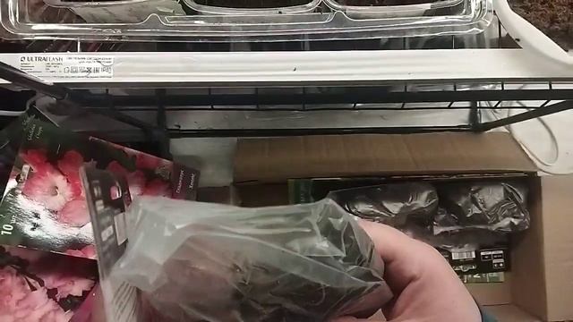 Распаковка посылки из ИМ #2 (луковицы гладиолусов и флоксы) смотреть онлайн