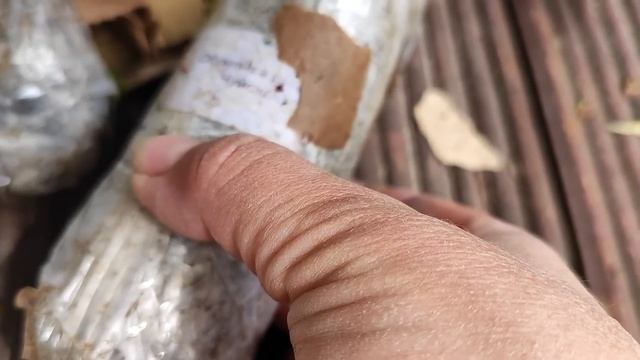 Пришла большая посылка с Алтая. Подготовка грядки и высадка перца. Жизнь семьи в деревне. смотреть онлайн