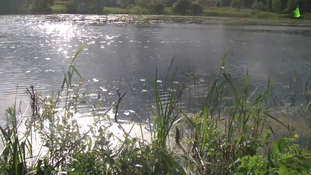 шкунтикии болото смотреть онлайн