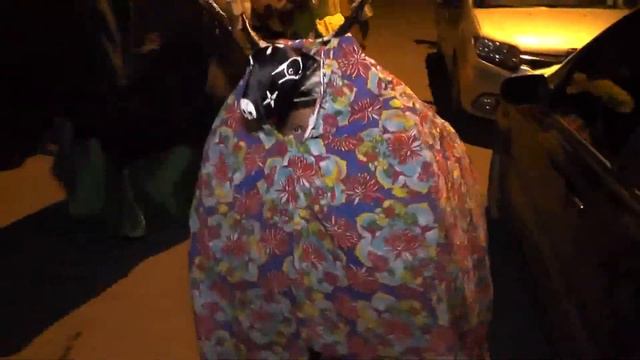 RESUMO CULTURAL COMADRE PITU CONFERIU EM SANTO ANTONIO OS PREPARATIVOS DO BLOCO BOI A SERRA PARA смотреть онлайн