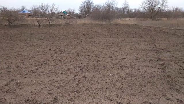 Посадка картофеля мотоблоком НЕВА МБ 2 смотреть онлайн