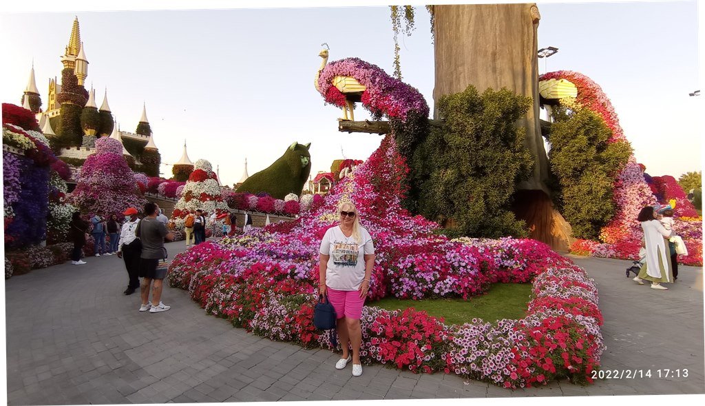 Dubai Miracle Garden, фев 2022