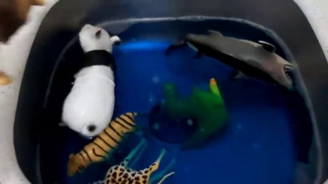 ?Учим Животных Корова Овца Носорог ?Развивающие Мультики #корова #poem #животные #song смотреть онлайн