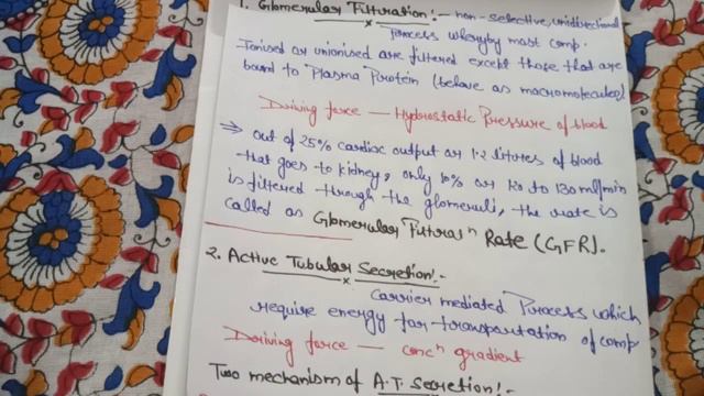 Renal Excretion of Drugs смотреть онлайн