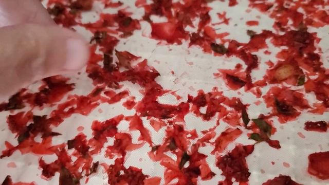 What To Do With Too Many Strawberries?!  | Dehydrate Strawberries In 4 Ways!
