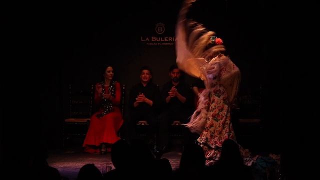 Elena Ollero Alegrías. 23, 24 y 25 de Enero смотреть онлайн