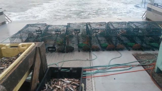 Setting trawl смотреть онлайн