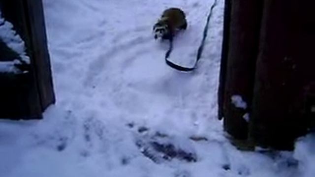 Снегоуборочный хорёк!!! смотреть онлайн