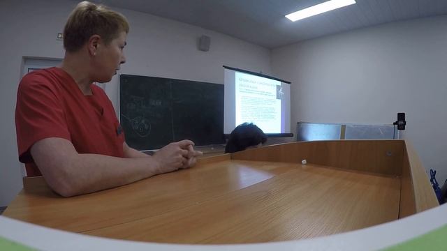 Школа пациента ИКБ №2: Профилактика клещевых инфекций смотреть онлайн