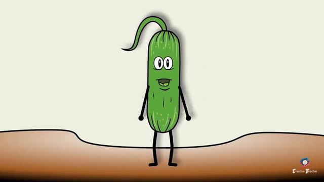 3 клас Я досліджую світ Права та обовязки смотреть онлайн