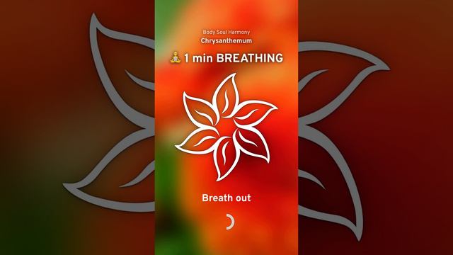 1 min breathing exercise — Chrysanthemum смотреть онлайн