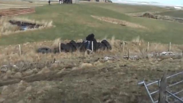 Cirencester College: Archaeology - Orkney Islands