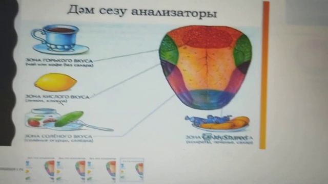 что делать если слайд (презентация) не помещается в платонус смотреть онлайн