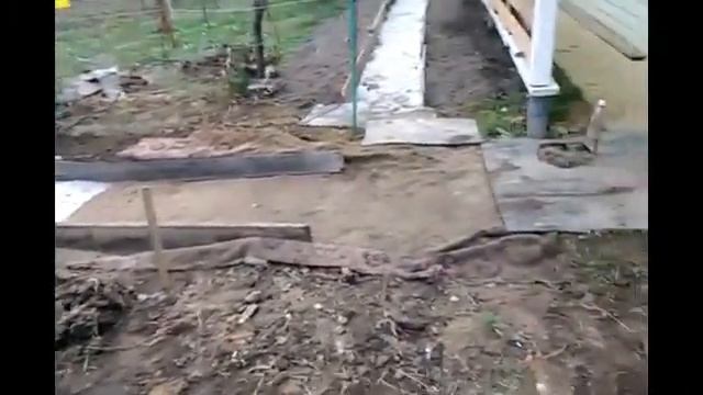 Дорожка вдоль винограда