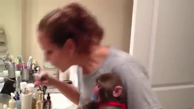 Самые смешные приколы с животными обезьянка чистит зубы смотреть онлайн