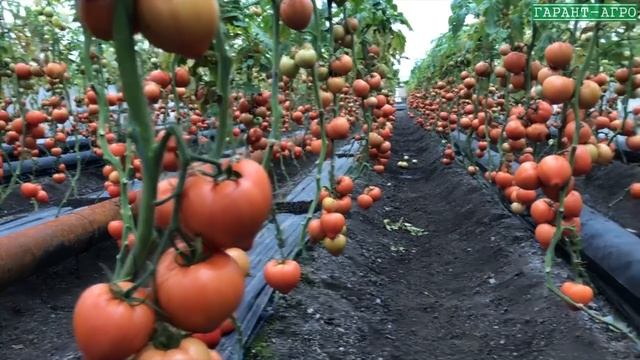 Отопление. Расчёты и рассуждения смотреть онлайн