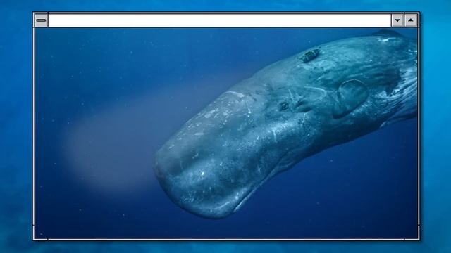 This Fish Kills All Whales, Attacks Any Ship, Lays Tens of Millions of Eggs and Has no Growth Limit смотреть онлайн