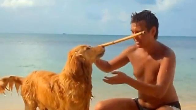 Пляж Ban Tai остров Самуи смотреть онлайн