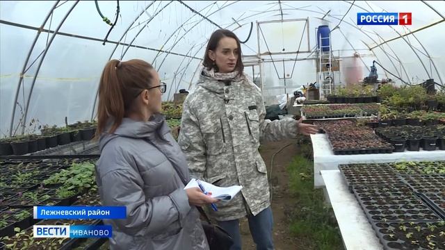 Фермеры из Лежневского района развернули масштабное строительство теплиц на грантовые средства смотреть онлайн