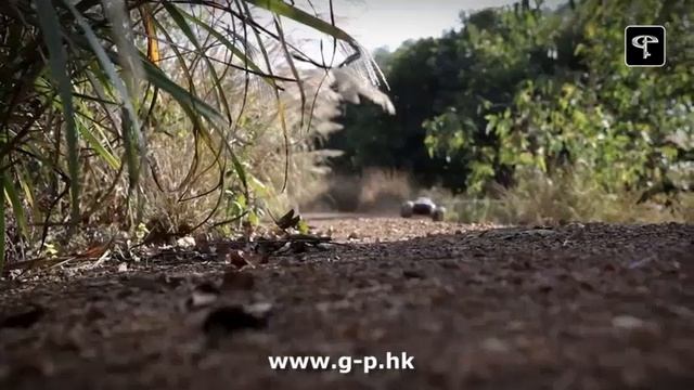 GPTOYS 40km/h High Speed Remote Control Off Road Cars Classic Toys Monster Truck смотреть онлайн