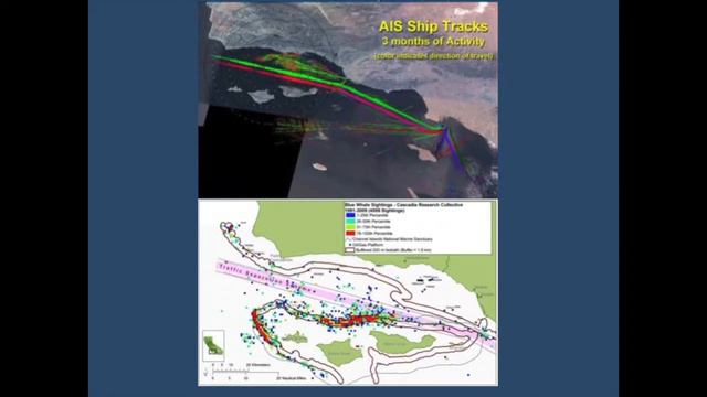 Marine Mammal Health in the Arctic: Frances Guland: Part 2 смотреть онлайн