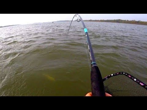 МУЖИК НЕ ВЫТЕРПИЛ И ПОДПЛЫЛ! НАШЛИ КУЧУ РЫБЫ И НАЧАЛИ ЕЕ ТЯГАТЬ! РЫБАЛКА смотреть онлайн