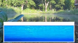 Какой копать пруд на участке ?