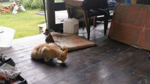 Настройка газового котла под Пропан Бутан