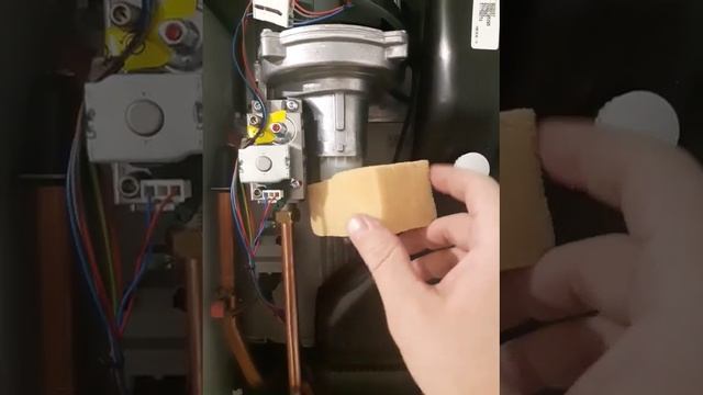 Газовый котел Протерм Рысь конденсационный 30 кВт одноконтурный шумит турбина при розжиге и ГВС смотреть онлайн