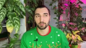 Любимые ￼￼￼каналы о комнатных растениях которые смотрю / цветочные блогеры что меня вдохновляют ￼ ￼