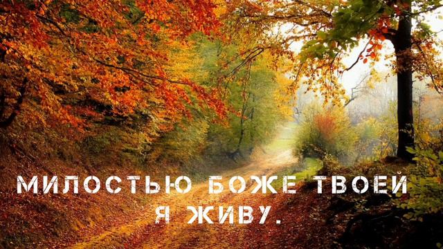 Милостью Боже Твоей я живу. Христианская песня МСЦ ЕХБ. Милость Твоя... смотреть онлайн