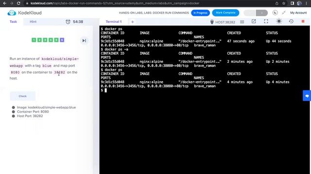 Docker Run Practical lab L6 #hindicoding #dharacoding #docker #algorithm #dockerhindi смотреть онлайн