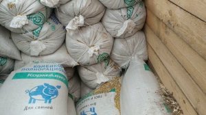 Свиноводство и борьба с крысамм