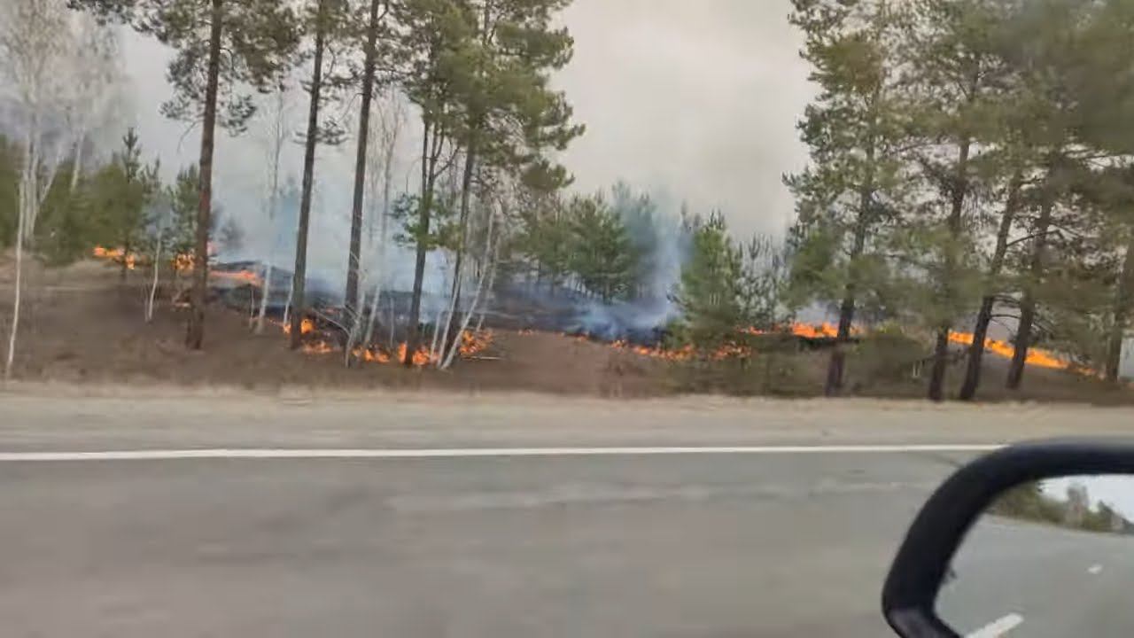 Пожар в лесу горит вдоль трассы Курган-Екатеринбург смотреть онлайн