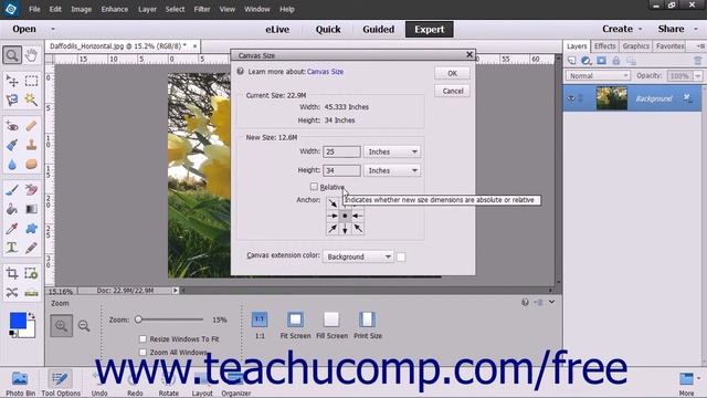 Photoshop Elements 13 Tutorial Changing the Canvas Size Adobe Training смотреть онлайн
