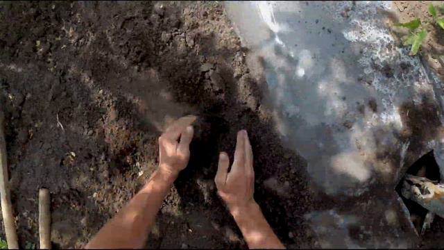 Простейшая подвязка помидор смотреть онлайн