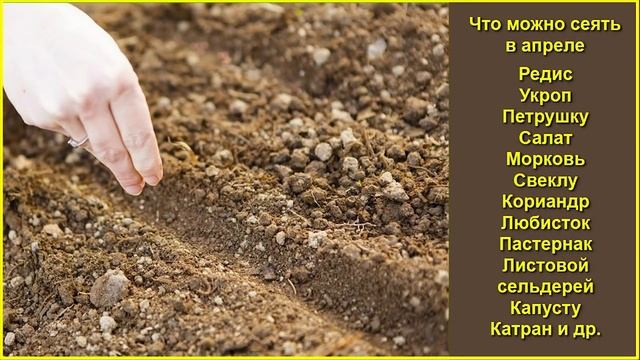 15 важных дел апреля смотреть онлайн